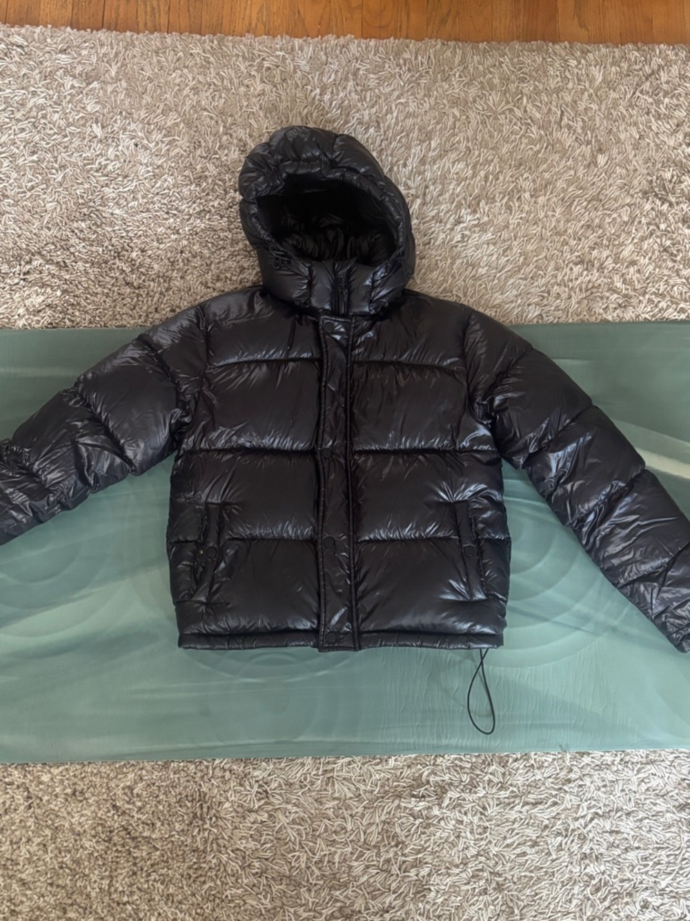 Aritzia Black Shiny Puffer Jacket with Hood